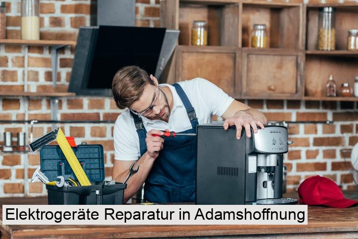 Elektrogeräte Reparatur in Adamshoffnung